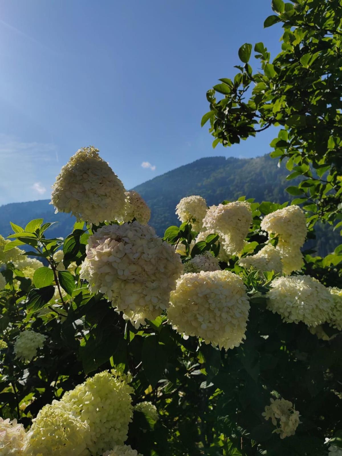 Ferienhaus Kramser Arnoldstein Bagian luar foto
