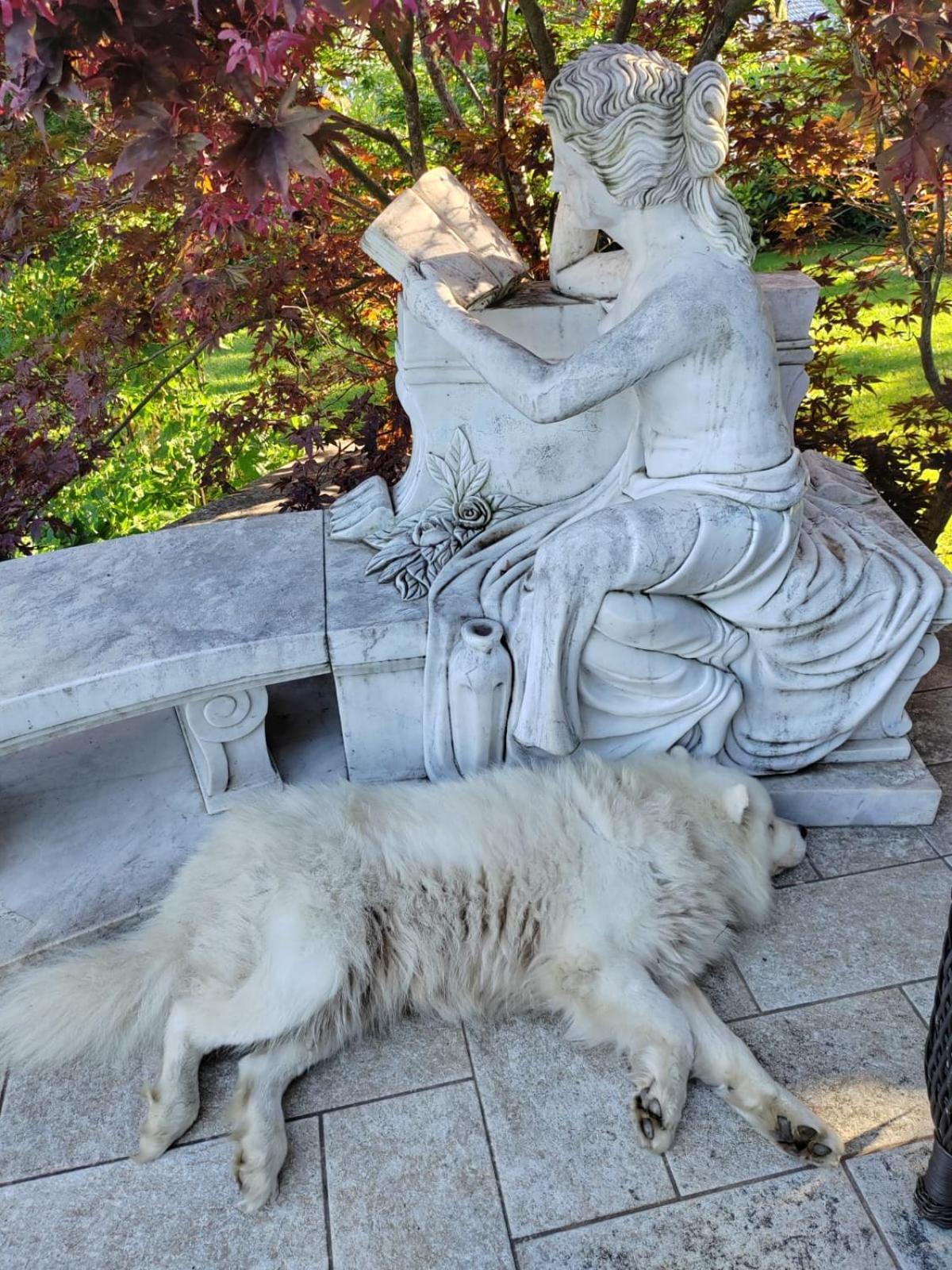 Ferienhaus Kramser Arnoldstein Bagian luar foto