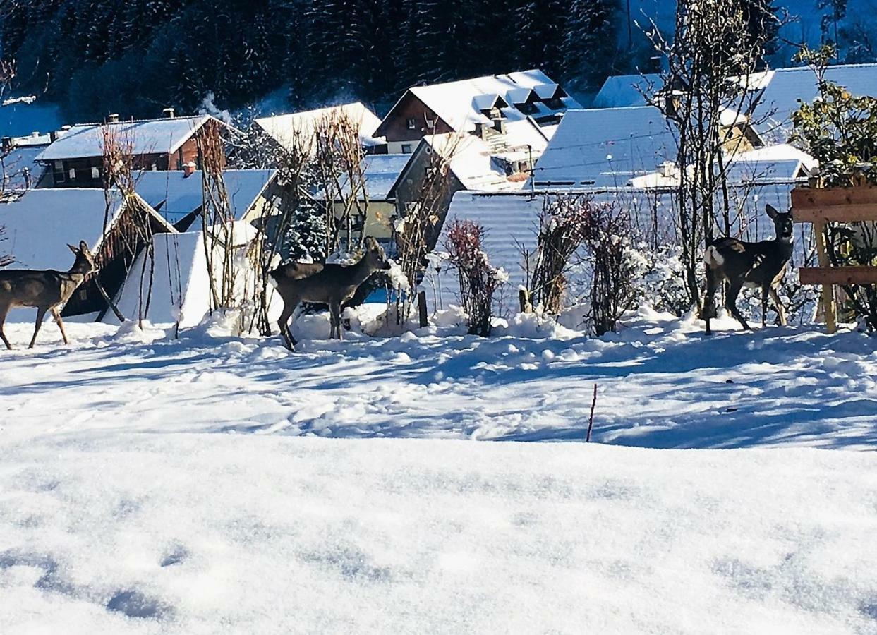 Ferienhaus Kramser Arnoldstein Bagian luar foto